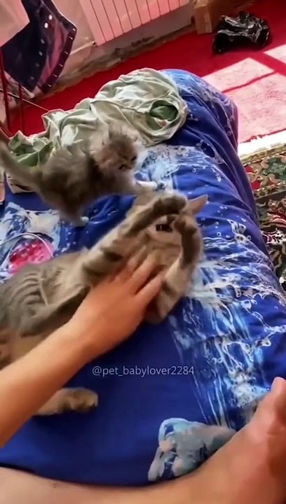New mom