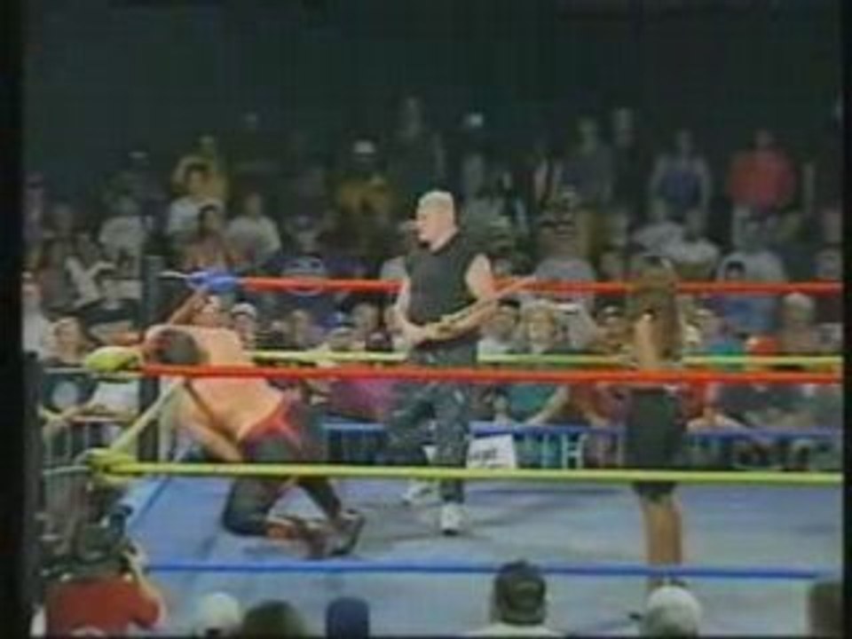 Catch clip ecw