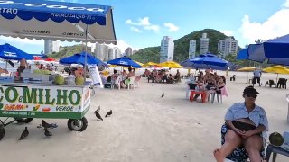 SAO PAULO Beach A Beautiful Day Brazil