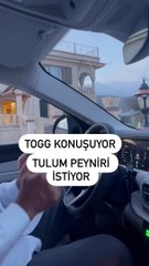 Yerli otomobil TOGG dile geldi! Mustafa Sarıgül'den bunu istedi