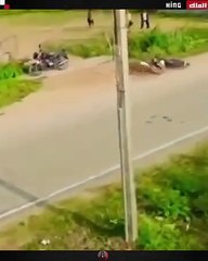 Surprising Animal Attacks on Humans You Need to Know 🦁