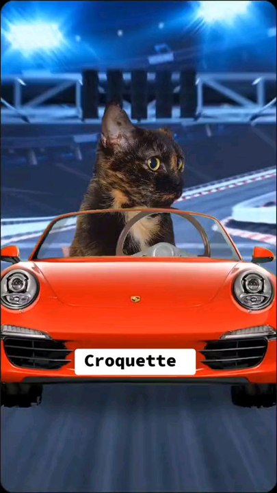 Voici ma nouvelle vidéo