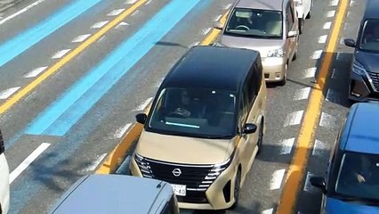 Will a Sign Stop Driving Phone Fools in Japan