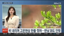 [일요와이드] 휴일 흐리고 곳곳 비…황사 씻겨나가 공기 '깨끗'