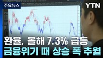 환율, 올해 7.3% 치솟아...금융위기 때보다 심각 / YTN