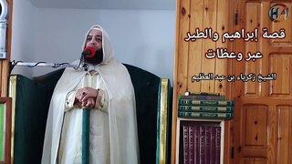 قصة إبراهيم عليه السلام والطير مع فضيلة الشيخ زكرياء بن عبد العظيم