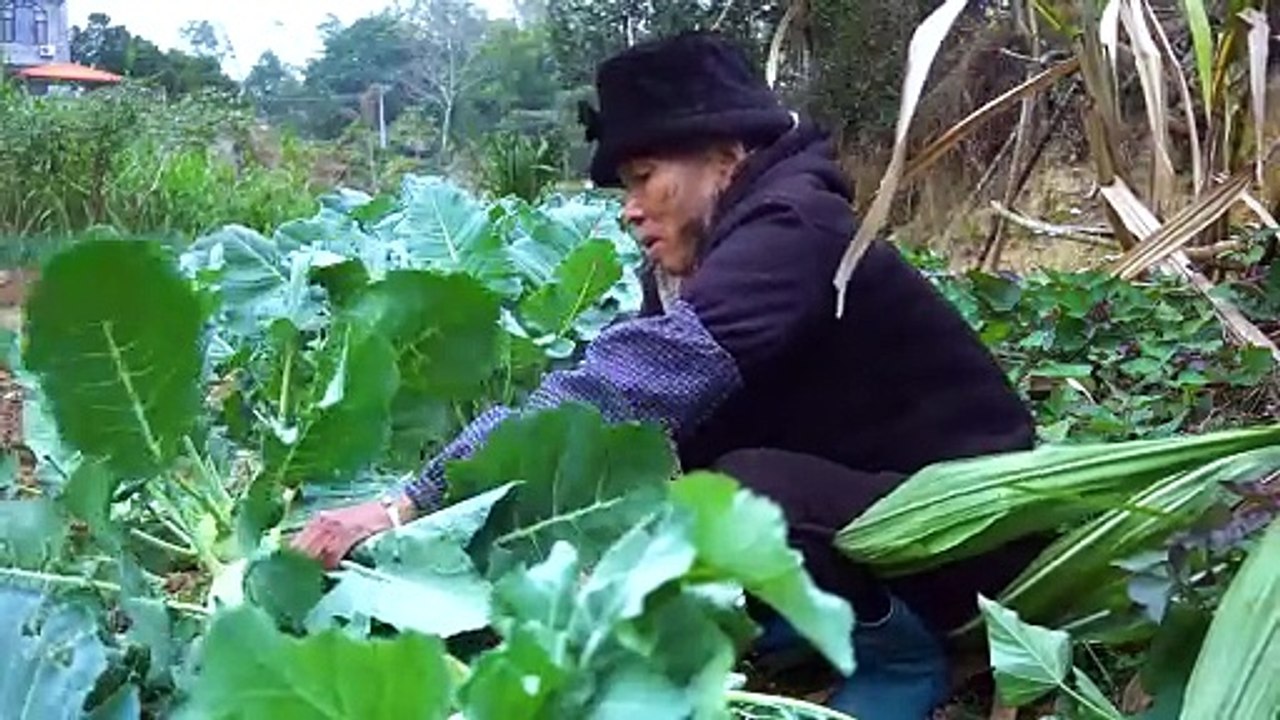 Bữa  Cơm Dân Dã Của Bà Cụ