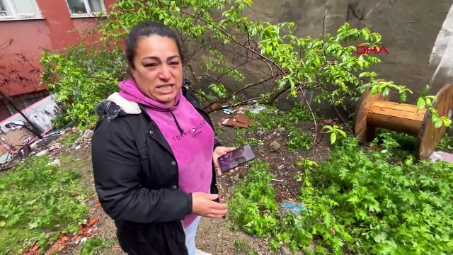 İstanbul'da 3 yavru kedi öldürülmüş halde bulundu