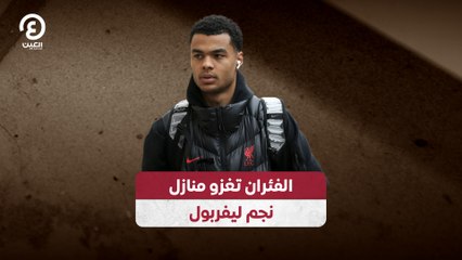 الفئران تغزو منازل نجم ليفربول