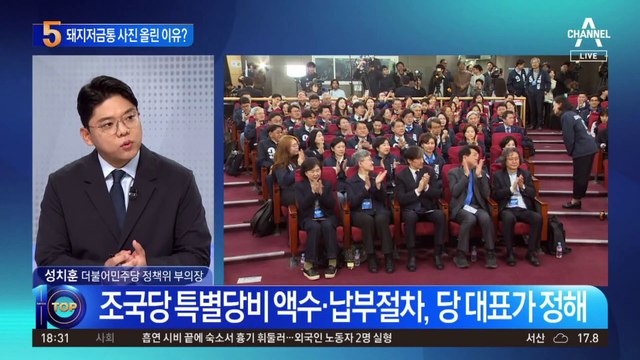조국, 돼지저금통 사진 올린 이유?