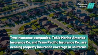 California Insurance Meltdown: 7 Major Players Halt Homeowner Policies