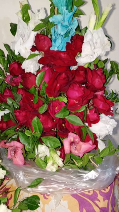 Beautiful Flowers #trending #viral #foryou #reels #beautiful #love #funny #delicious #fun #love #yummy #tiktok #facebook #reel #status #whatsapp #trend