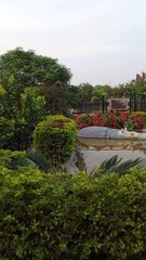 Hippo #trending #viral #foryou #reels #beautiful #love #funny #delicious #fun #love #yummy #tiktok #facebook #reel #status #whatsapp #trend