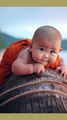 little monk so cute cute baby video  #naturelover4kstatus #trendingshorts #ytshort #youtubeshorts
