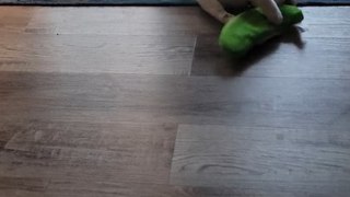 Cat Gets Spooked by Vibrating Toy