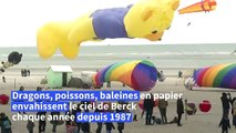 Dans le nord de la France, 37ème édition des rencontres internationales de cerfs-volants