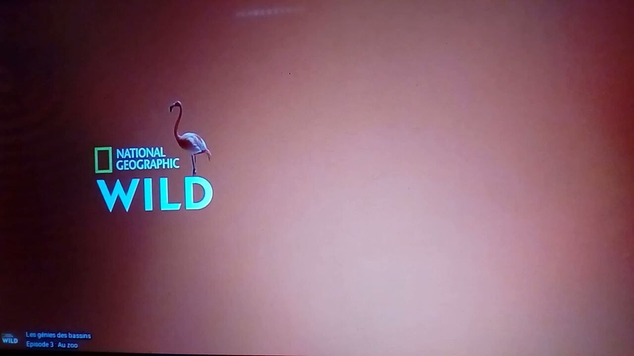 Les génies des bassins S01E03