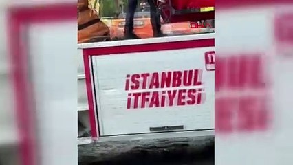 Gayrettepe'de bina yıkımı sırasında içeri giren kedi kurtarıldı