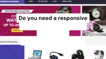 Do you need a responsive WordPress ecommerce website or WooCommerce store