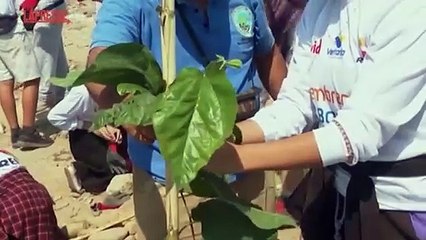 Perù, a Lima i volontari piantano 500 alberi per la Giornata della Terra