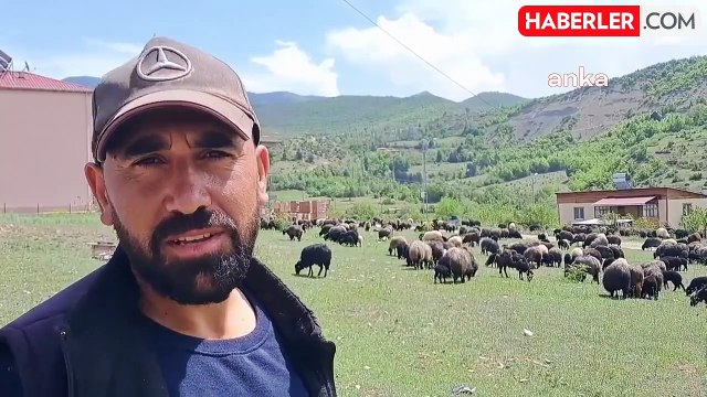 Artvin'de hayvancılık yapan çiftçiler zorluklarla mücadele ediyor