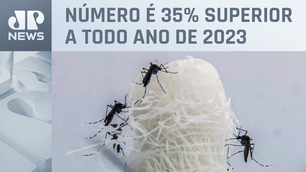 Brasil registra 1.601 óbitos por dengue em 2024