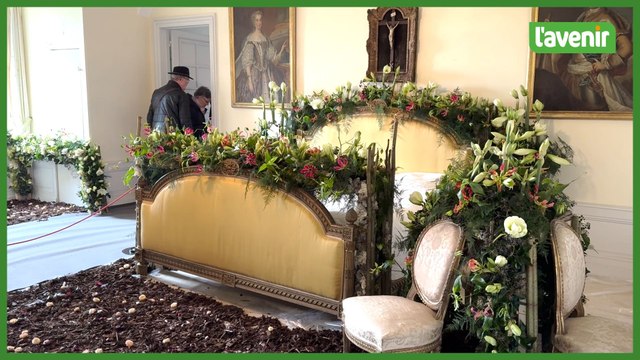 Concours Amaryllis 2024 Beloeil