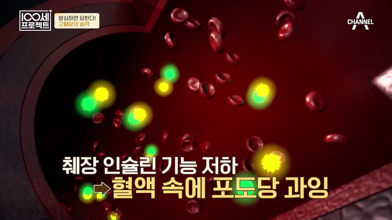 중년의 질병 도미노 당뇨! 혈당 관리는 선택이 아닌 필수!!