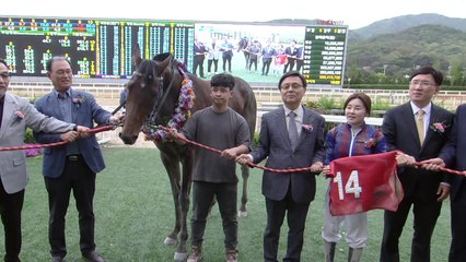 글로벌히트, YTN배 경마대회 우승 / YTN