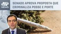 Vilela analisa PEC das Drogas: “Descriminalização seria retrocesso no combate ao crime organizado”