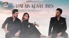 Tum Bin Kesay Jiyen Episode 52_21 April 2024___ARY_Digital(360p)