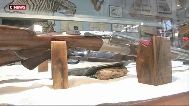 Armes : quelles sont les différentes catégories en France ?