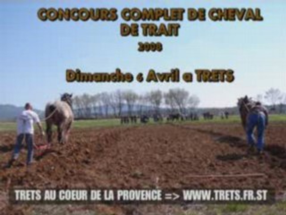 Concours complet de cheval de trait TRETS 2008