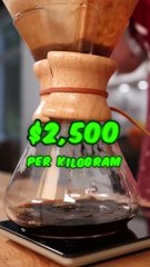 World’s Most Expensive Coffee