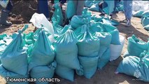 فيضانات روسيا: عمليات إجلاء واسعة وتعزيز للسدود في المدن المتضررة بشدة
