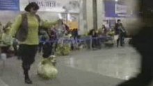 Dog Show EURASIA-2 24.02.2008 Moscow part 14