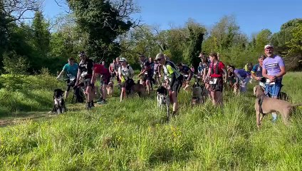 A la découverte du canicross, à Dompierre-sur-mer !