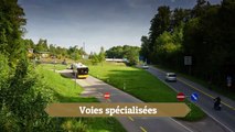 Voies spécialisées