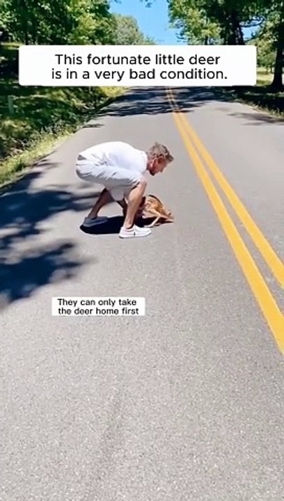 The couple tried to rescue a small deer from a giant python