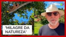 Janja posta vídeo de Lula falando sobre sabedoria dos pássaros em dia de ato de Bolsonaro no RJ