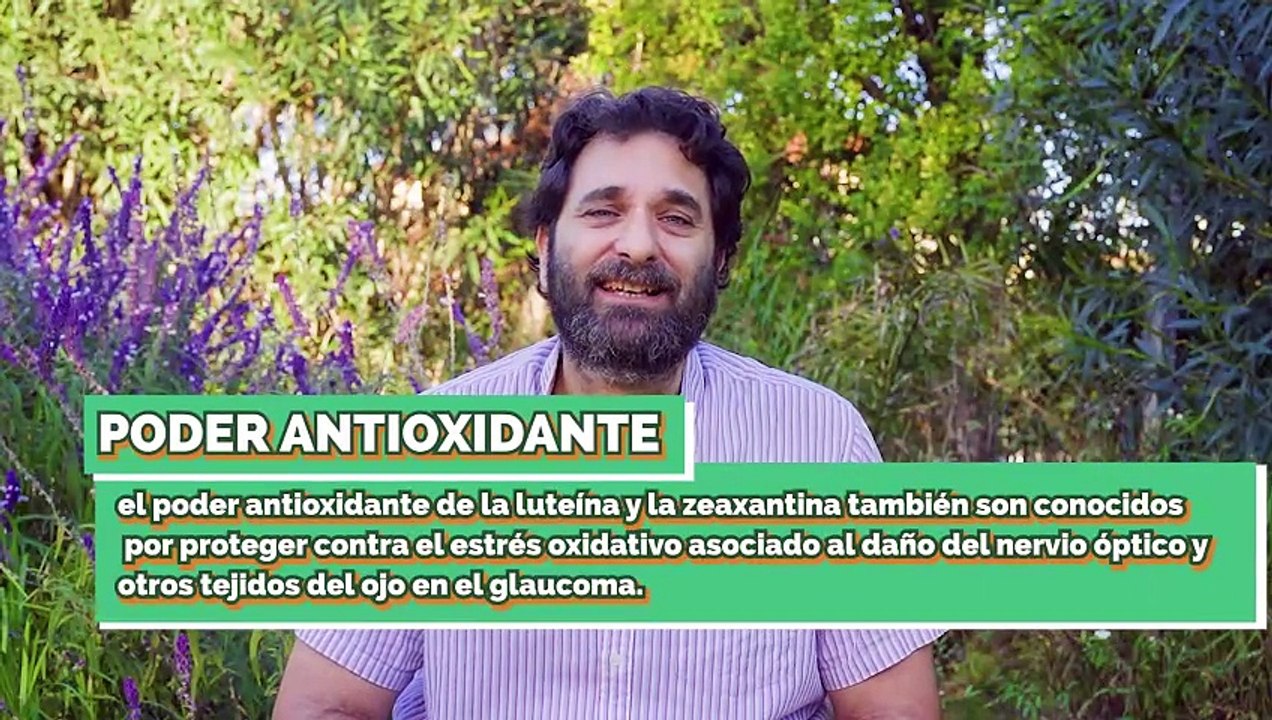 6 Plantas para la VISTA - Cuidan tus OJOS y mejoran tu visión