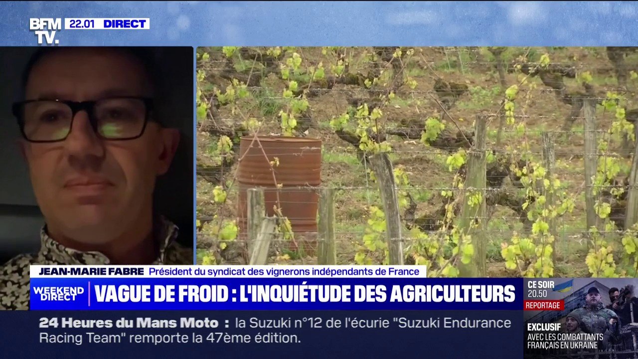 Jean-Marie Fabre (vigneron dans l'Aude, patrons des vignerons indépendants) s'inquiète de voir ses récoltes "amputées partiellement ou totalement" à cause des gelées