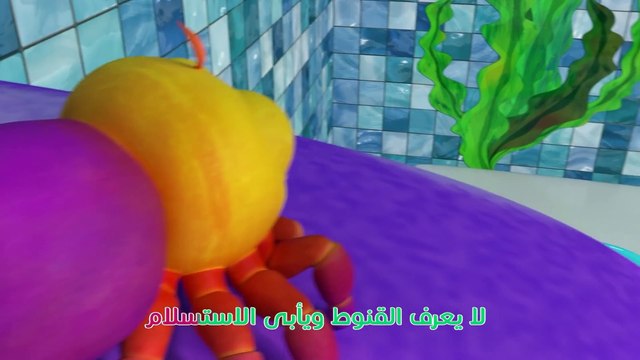 أغاني كوكو ميلون بالعربي اغاني اطفال ورسوم متحركة أغنية صغير العنكبوت_