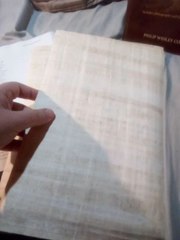 Interesting Facts about the Bible