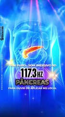 PANCREAS 117.3 Hz : Frequencia do Pancreas descoberta por Barbara Hero e Instituto Lambdoma