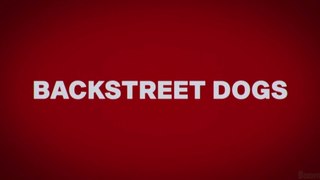 BACKSTREET DOGS (2023) Bande Annonce VF - HD