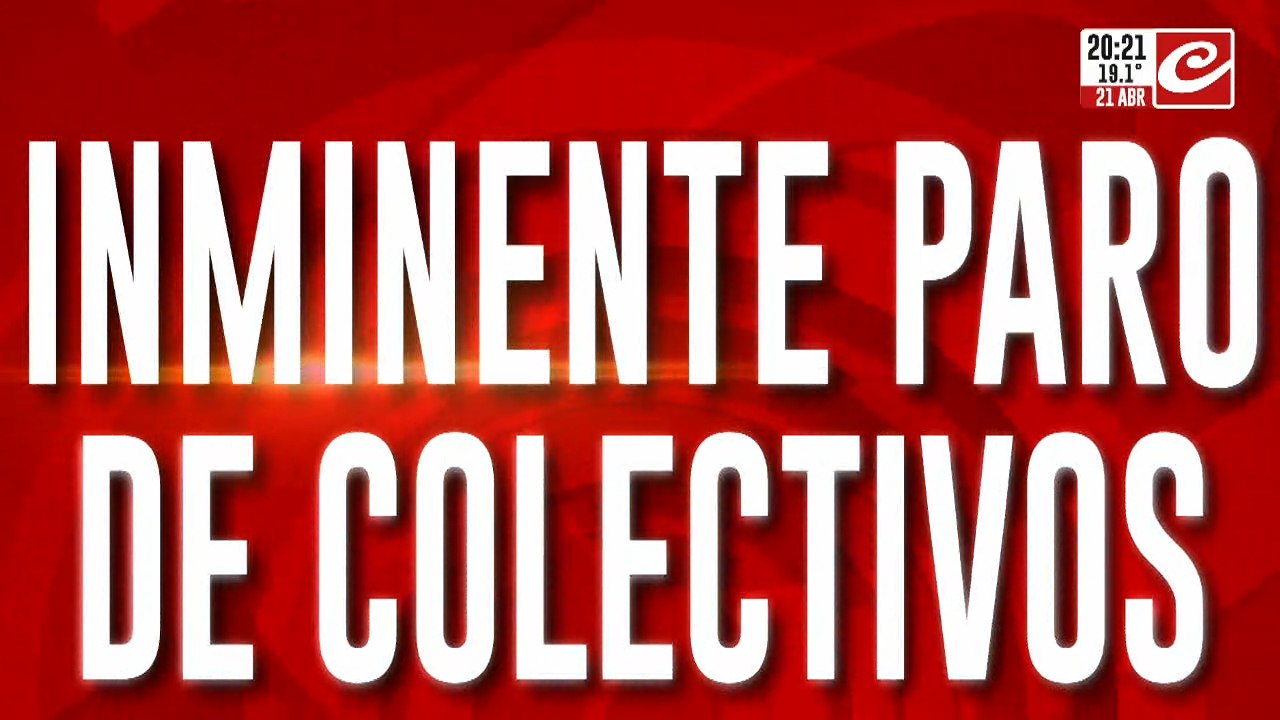Alerta por nuevo paro de colectivos confirmado: cuándo empieza y qué líneas no funcionan