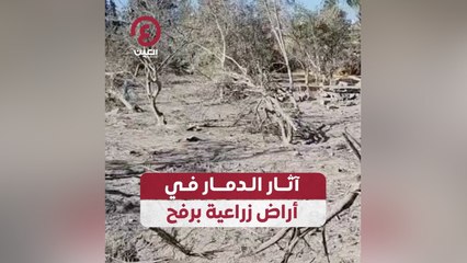 آثار الدمار في أراض زراعية برفح