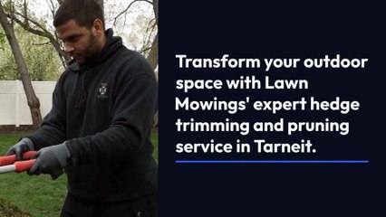 hedge trimming tarneit