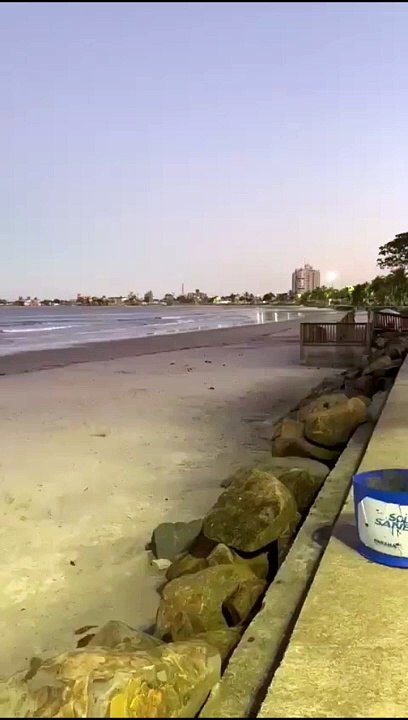 Ratos são flagrados na orla de Guaratuba no Paraná; vídeo